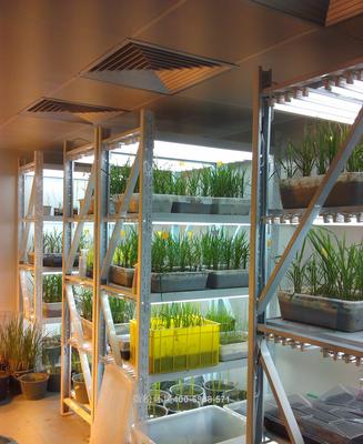 培養架型植物生長室